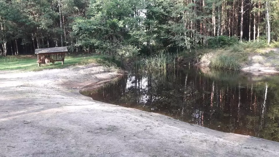 Zdjęcie 